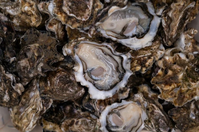 Rideshare Oyster Caper, Seattle Crew Busted With 500 At Hood Canal
