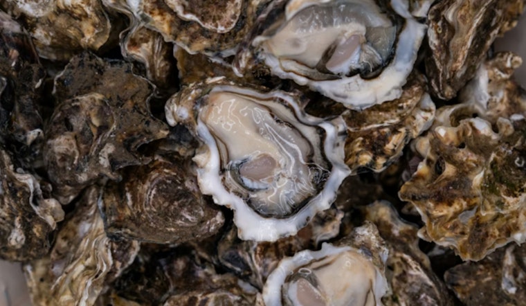 Rideshare Oyster Caper, Seattle Crew Busted With 500 At Hood Canal