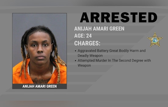 Rivergate Drive Fight Ends In Stabbing, Tampa Woman Hit With Attempted Murder Charge