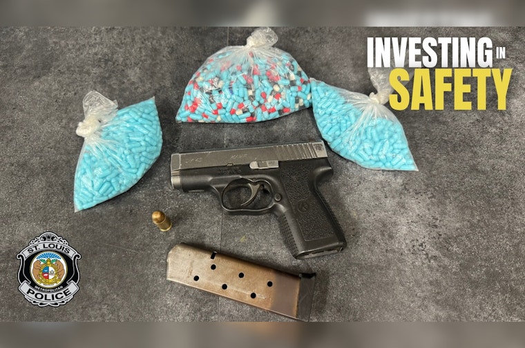 Riverview Boulevard Stop Nets Gun, Drugs From Convicted Felon, Cops Say
