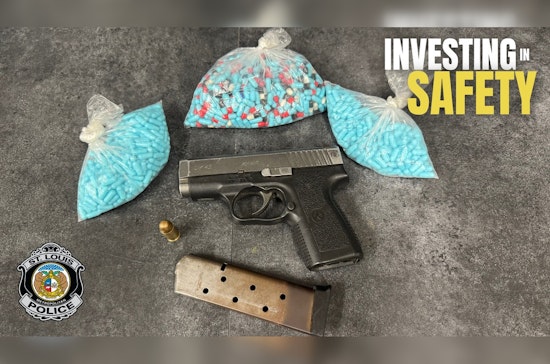 Riverview Boulevard Stop Nets Gun, Drugs From Convicted Felon, Cops Say
