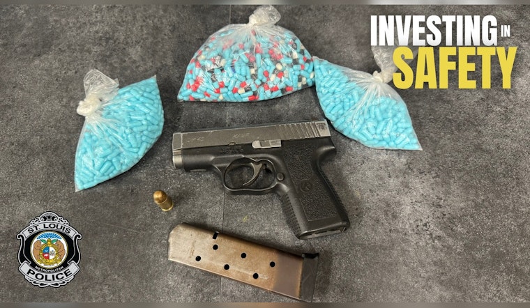 Riverview Boulevard Stop Nets Gun, Drugs From Convicted Felon, Cops Say