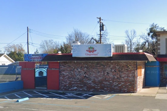 Roaches In The Warmer: Northgate Taqueria Slapped With Red Tag