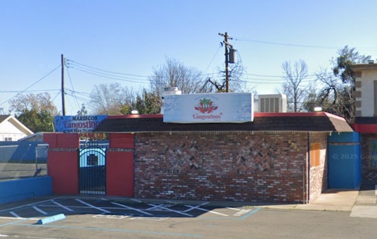 Roaches In The Warmer: Northgate Taqueria Slapped With Red Tag