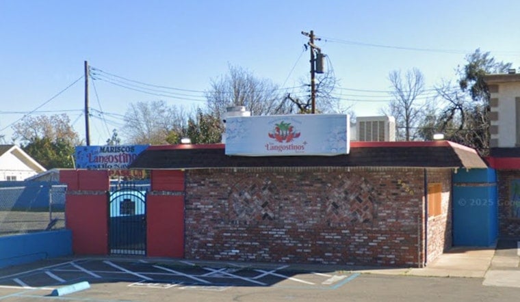 Roaches In The Warmer: Northgate Taqueria Slapped With Red Tag