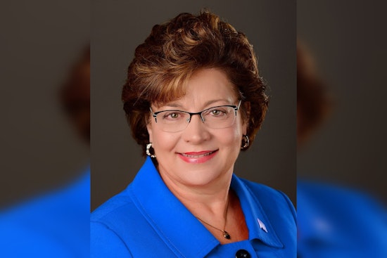 Rochester Power Player Carla Nelson Bows Out Of State Senate This Fall