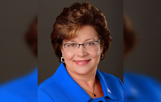 Rochester Power Player Carla Nelson Bows Out Of State Senate This Fall