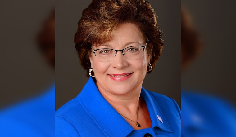 Rochester Power Player Carla Nelson Bows Out Of State Senate This Fall