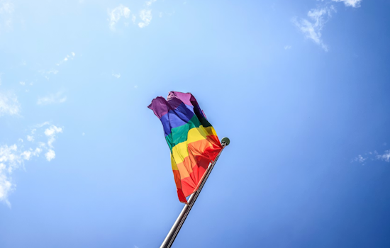 Rodgers Forge Pride Posters Torn Down Ahead Of June Events