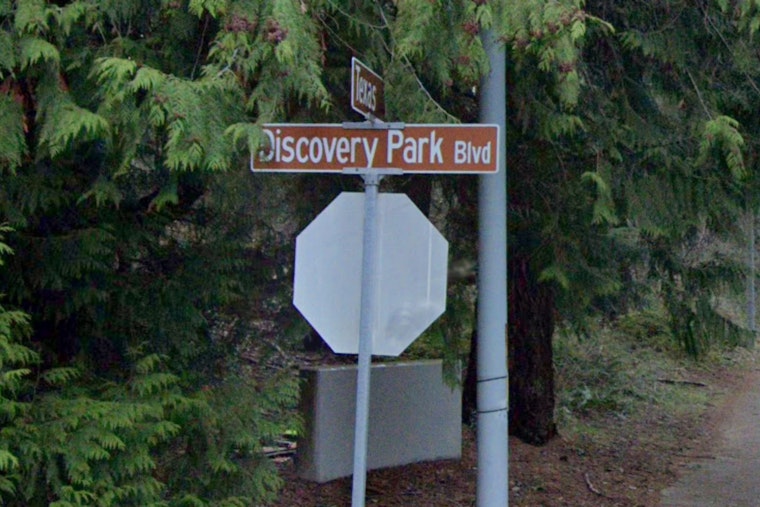 Rope Rescue Drama Brings Seattle's Discovery Park To A Standstill