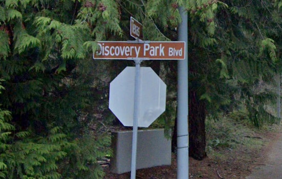 Rope Rescue Drama Brings Seattle's Discovery Park To A Standstill