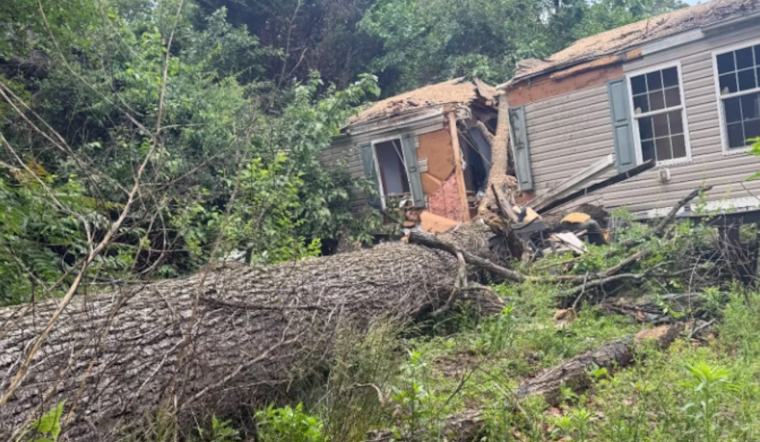 Rotting Tree Rips Pasadena Mobile Home Apart In Wild Morning Collapse
