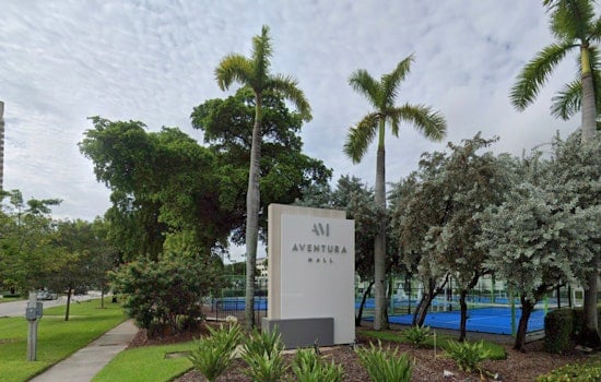 Royal Pop Watch Drop Triggers Aventura Mall Mayhem