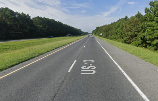 Runaway Emu Turns Salisbury Bypass Into Bird-Brained Chase