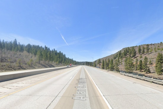 Rush-Hour Jolt as Bear Struck and Killed on I-80 Near Truckee
