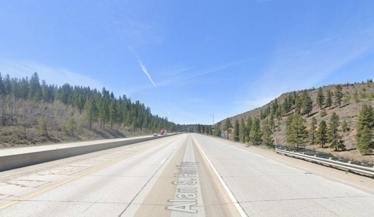 Rush-Hour Jolt as Bear Struck and Killed on I-80 Near Truckee