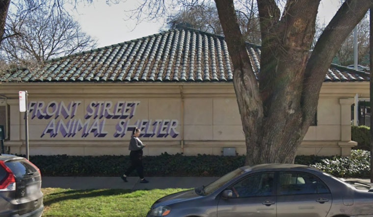 Sacramento Shelter Slashes Dog Fees As Packed Kennels Hit Breaking Point