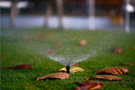 Salt Lake Neighbors Turn Sprinkler Snitches As Drought Drags On