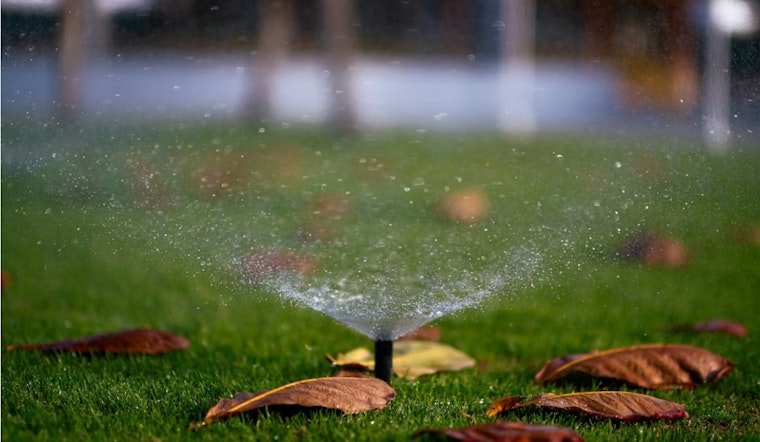 Salt Lake Neighbors Turn Sprinkler Snitches As Drought Drags On