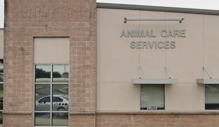 San Antonio Neighbors Toss Food Over Fence to Feed Emaciated Dogs as ACS Investigates