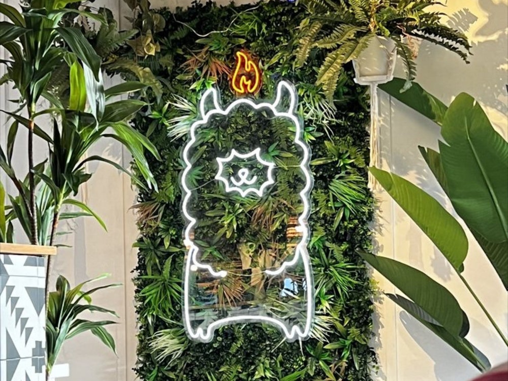 Convoy's Popular Flama Llama Restaurant Got Shut Down for Major Vermin Infestation and Warm Meat — Again