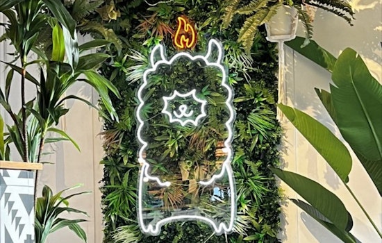Convoy's Popular Flama Llama Restaurant Got Shut Down for Major Vermin Infestation and Warm Meat — Again