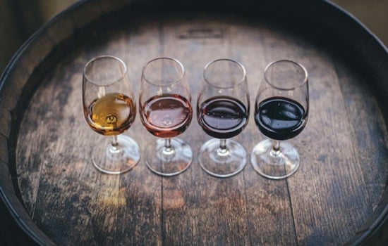San Diego Wineries Keep Pouring as Costs Bite Into the Buzz