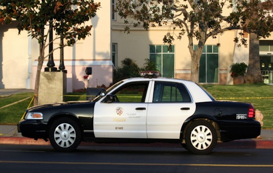 San Fernando Valley Takeovers Disrupt Streets, LAPD Seeks Drivers