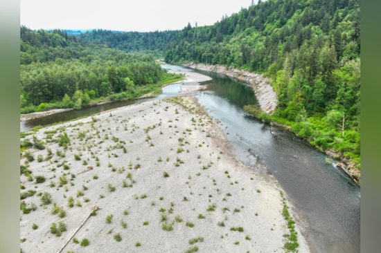 Sandy River Turns Into Snag-Filled Trap, Multnomah County Sounds The Alarm
