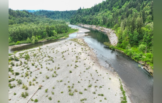 Sandy River Turns Into Snag-Filled Trap, Multnomah County Sounds The Alarm