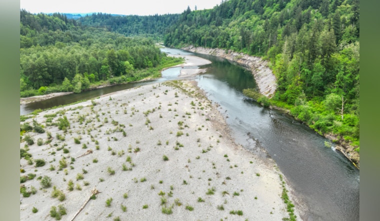 Sandy River Turns Into Snag-Filled Trap, Multnomah County Sounds The Alarm
