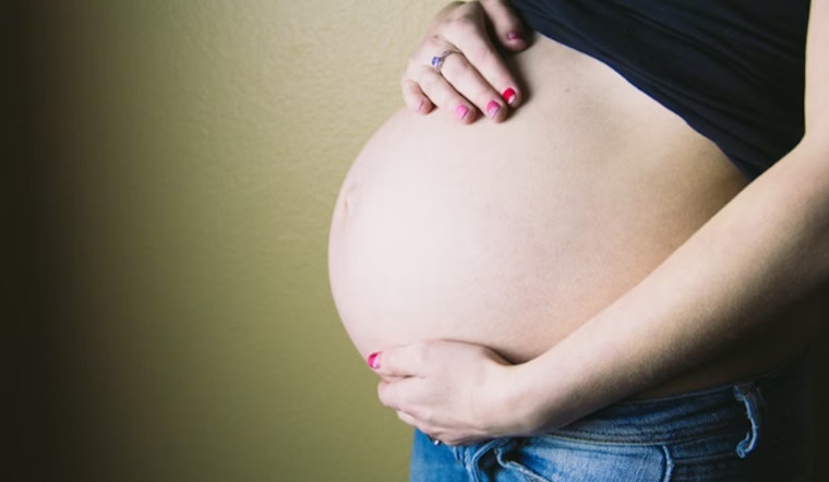 Scorching City Heat Puts Pregnant New Yorkers at Risk