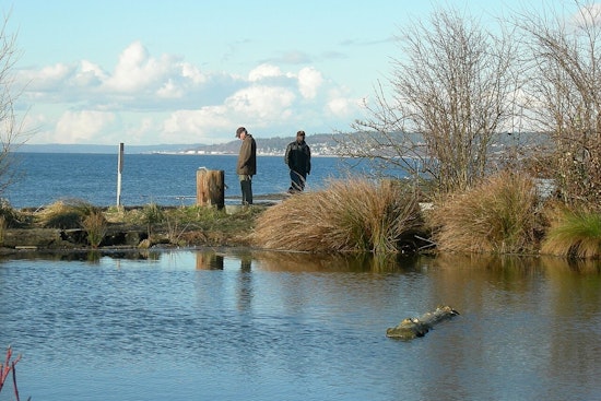 Seattle Slaps Summer Curfew On Alki And Golden Gardens