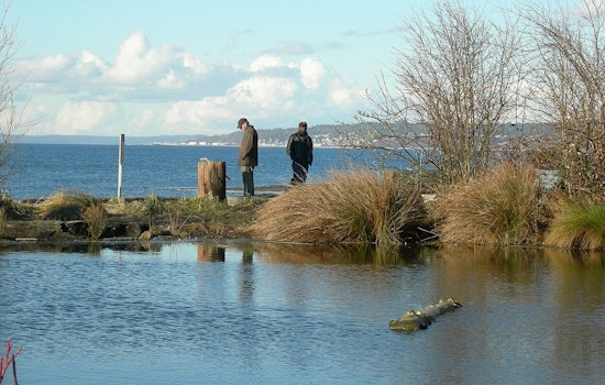 Seattle Slaps Summer Curfew On Alki And Golden Gardens