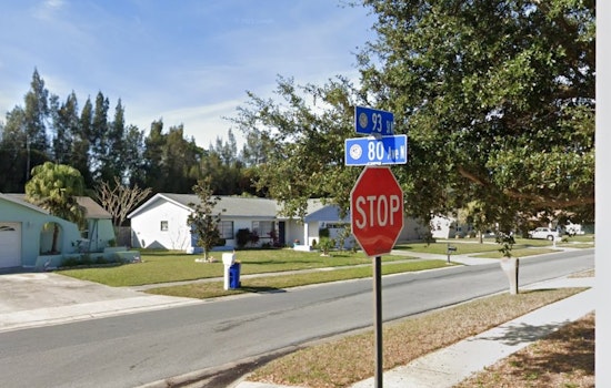 Seminole Man Struck by Pickup While Saving Turtle on 80th