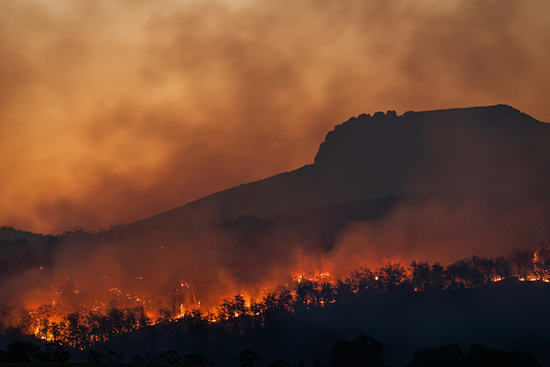 Seminole State Forest Fire Sends Smoke Rolling Across Lake County Roads
