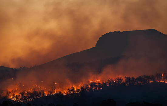 Seminole State Forest Fire Sends Smoke Rolling Across Lake County Roads