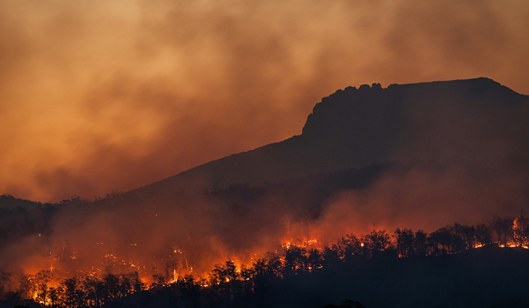Seminole State Forest Fire Sends Smoke Rolling Across Lake County Roads