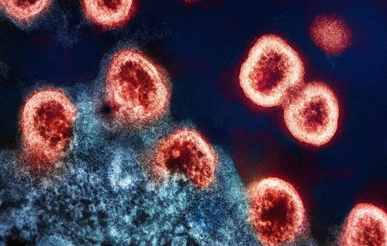 SF CAR-T Trial Lets Two HIV Patients Pause Daily Meds, Stuns Researchers