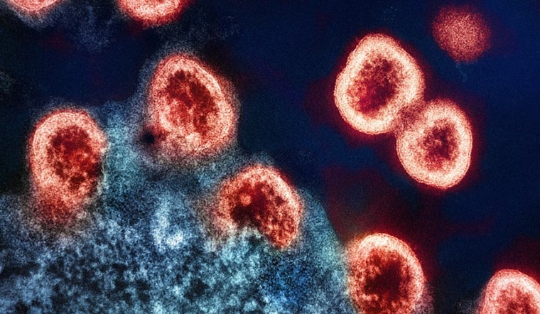 SF CAR-T Trial Lets Two HIV Patients Pause Daily Meds, Stuns Researchers