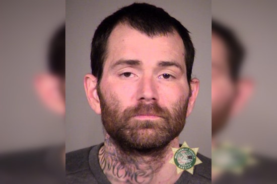 Shackled Oregon Hospital Escapee Nabs 57 Months For Wild Van Getaway