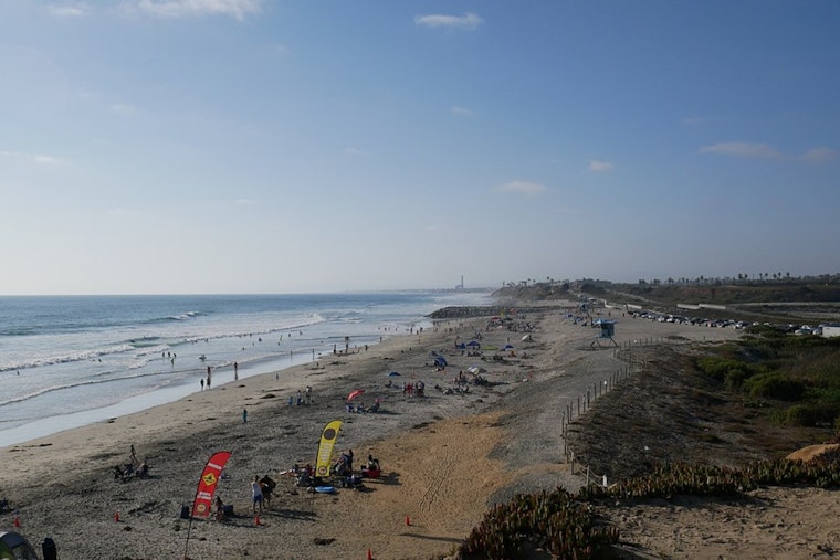 Shark Scare At South Carlsbad As Rangers Hunt ‘Juvenile Great White,’ Find Nothing