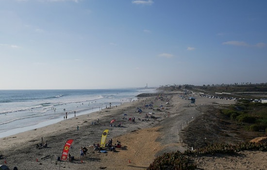 Shark Scare At South Carlsbad As Rangers Hunt ‘Juvenile Great White,’ Find Nothing