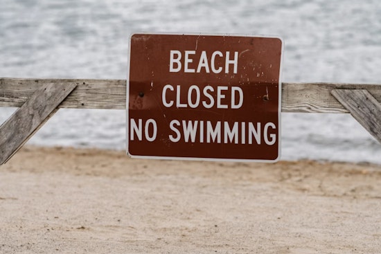 Shark Sighting Shuts Hanalei Bay as Lifeguards Sound Alarm