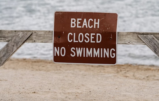 Shark Sighting Shuts Hanalei Bay as Lifeguards Sound Alarm