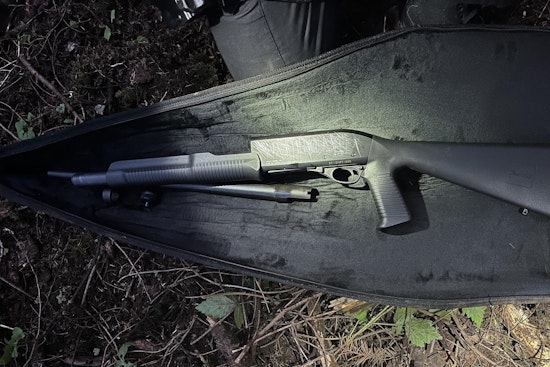 Shotgun Recovered Near Bellevue Park After Discord Post
