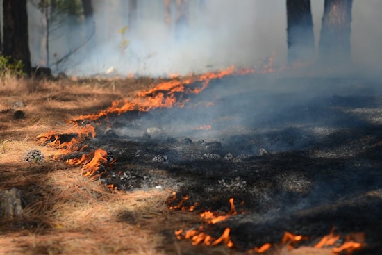 Silent Coal Inferno Near Meeker Triggers Wildfire Scramble