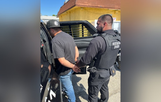 Skagit Hit-and-Run Fugitive Snatched in California After Years on the Run