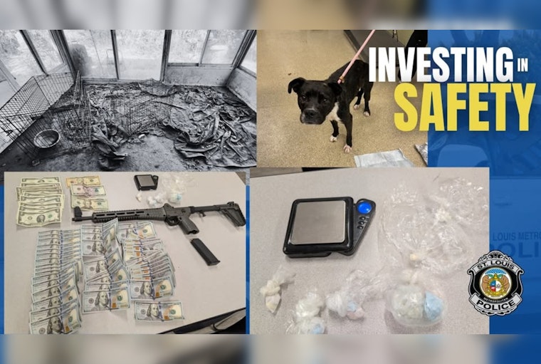 Kingsway West Raid Nets Gun, Drugs And Dogs With No Food Or Water