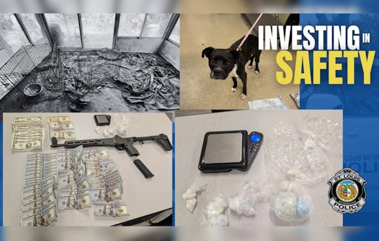 Kingsway West Raid Nets Gun, Drugs And Dogs With No Food Or Water